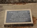 image of grave number 653761